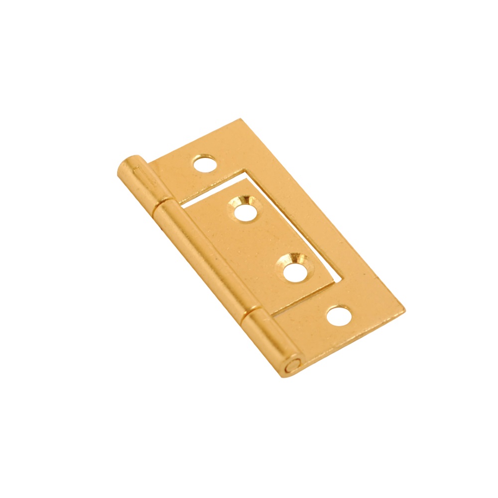 Flush Hinge EB