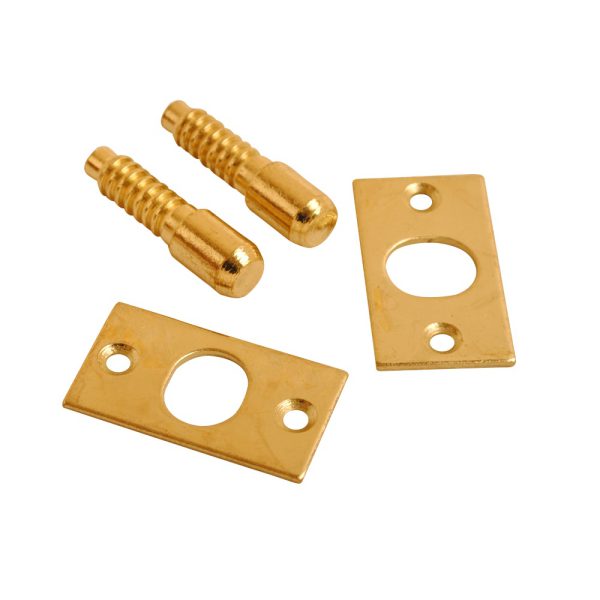 Steel Hinge Bolts EB